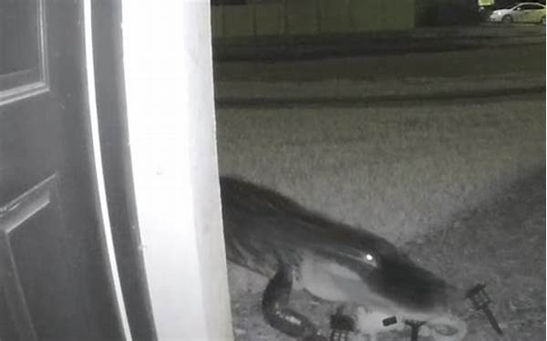 Evil Lurking Outside House