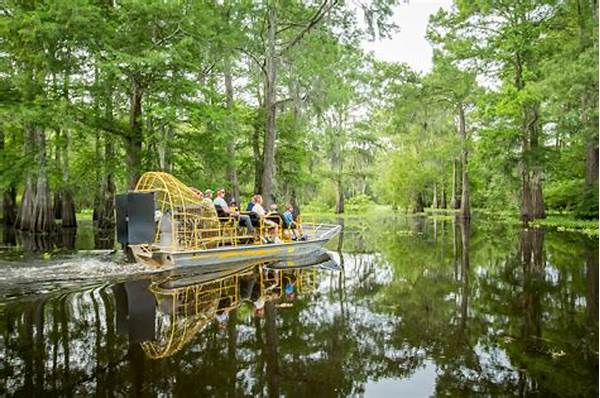 “navigating Through Louisiana Swamps”