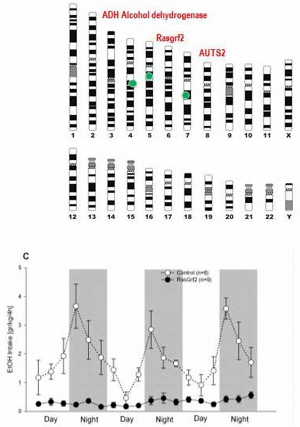 Genome-wide Studies On Addiction