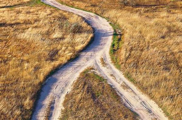 Intersection Of Paths Narrative