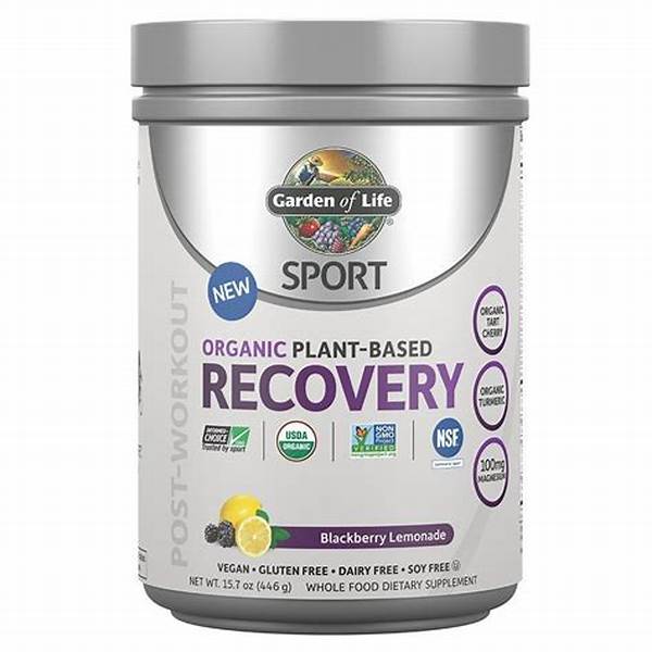 Effective Vegan Recovery Drinks