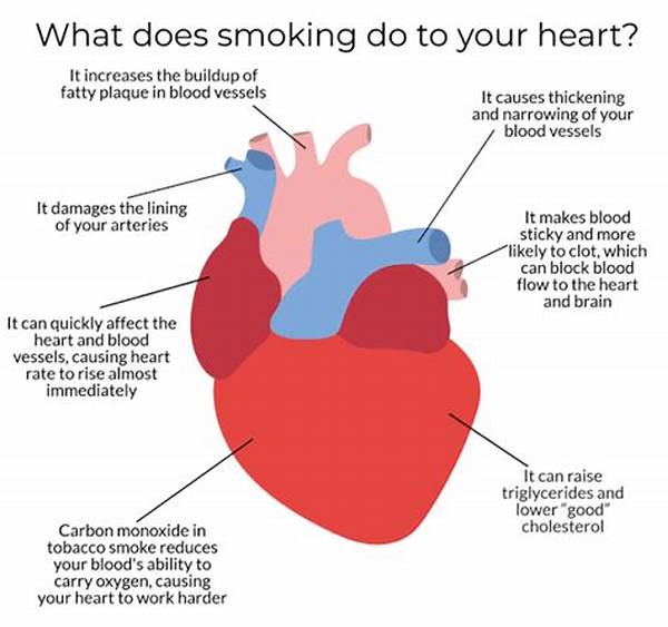 Effects Of Smoking On Heart