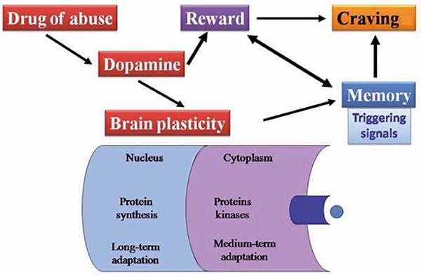 Neurobiological Mechanisms Of Addiction