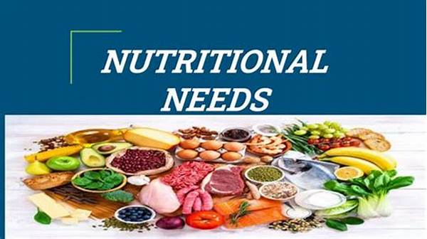 Nutritional Needs For Meditation Practitioners