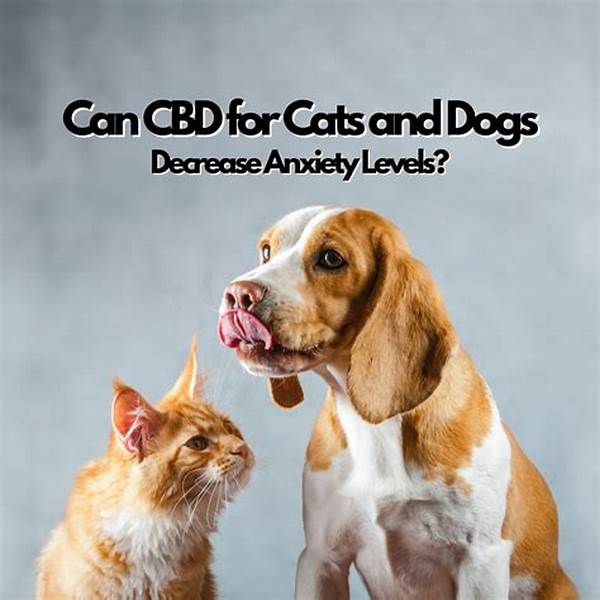Dogs Decreasing Anxiety Levels