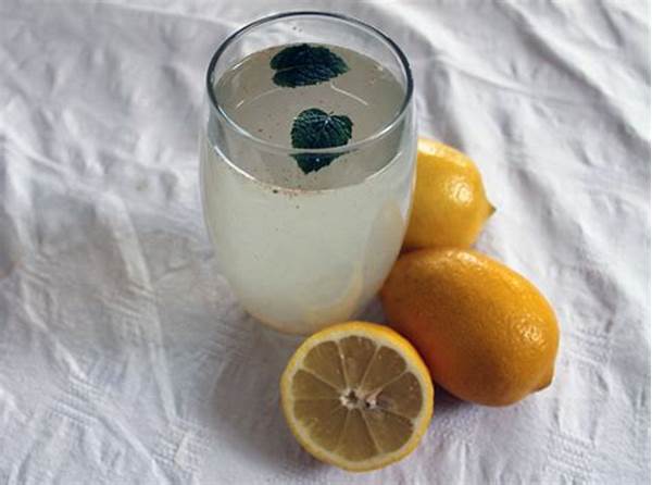 Lemon Water For Hangover Detox