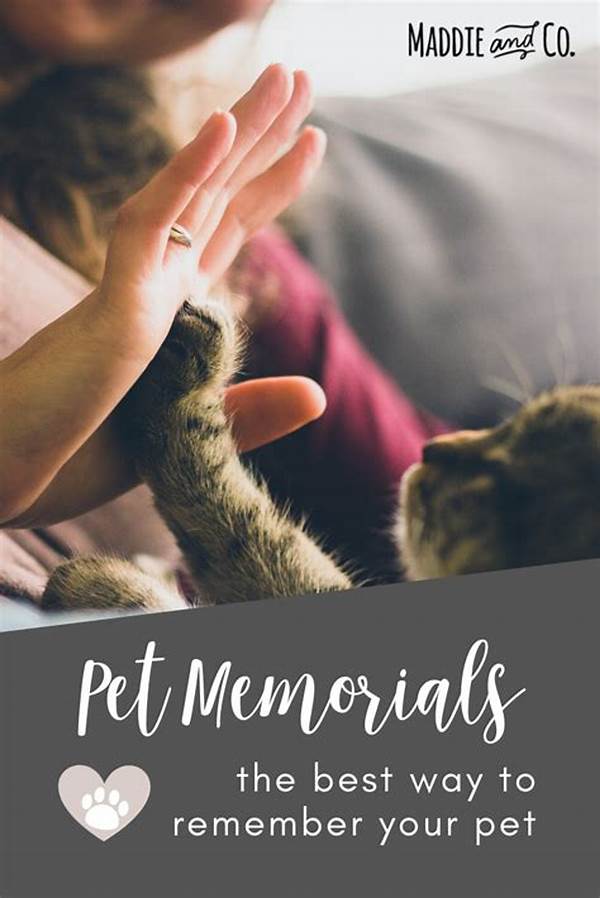 Positive Ways To Remember Pets