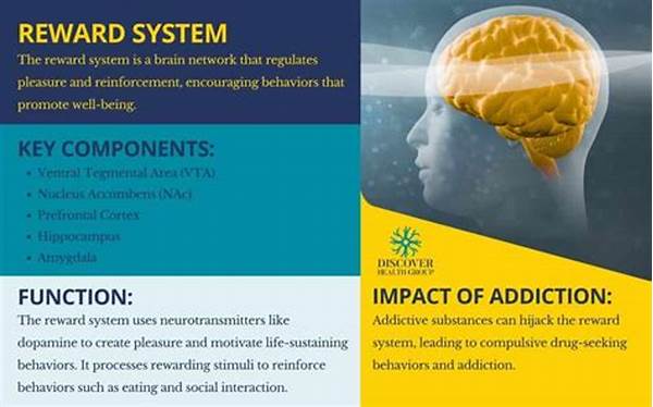 Reward System And Addiction
