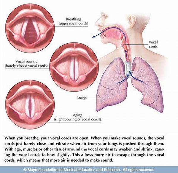 Vocal Cord Relaxation Techniques