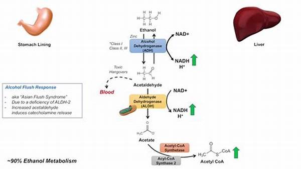 Alcohol Metabolism And Nutrient Supplementation