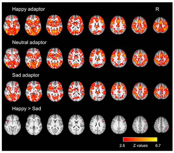 Emotional Adaptation To Hardship