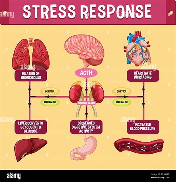 Mental Stress And Cardiovascular Response