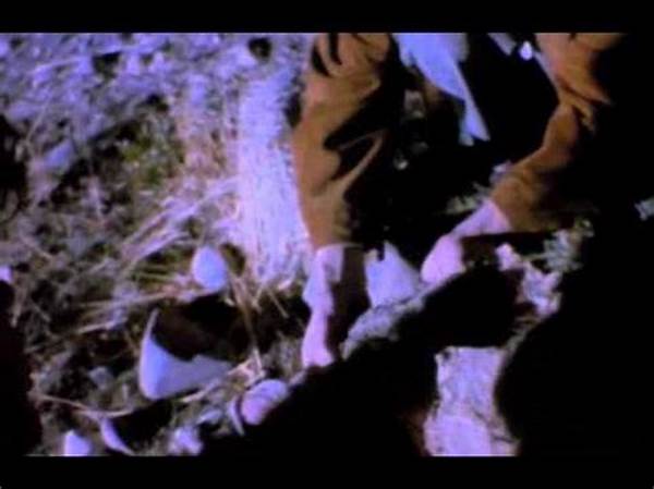 Heartache Beneath The Downpour