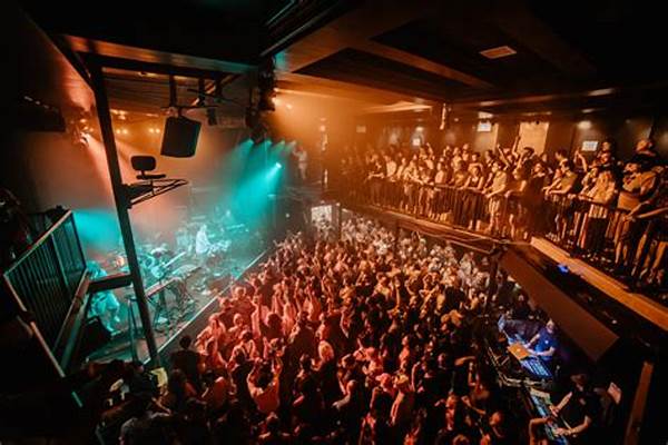 Small Venue Music Performance