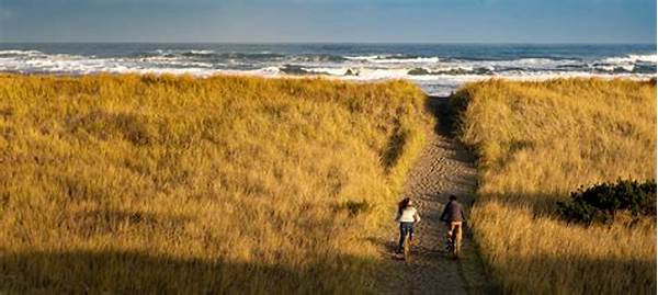 Collaborative Path To Profound Insights