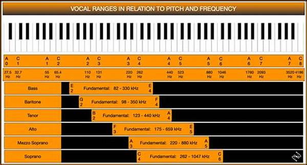 Maintaining A Healthy Vocal Range