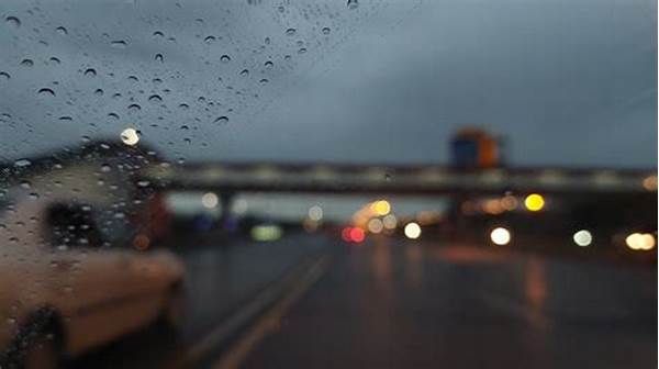 Drug Impairment And Road Laws